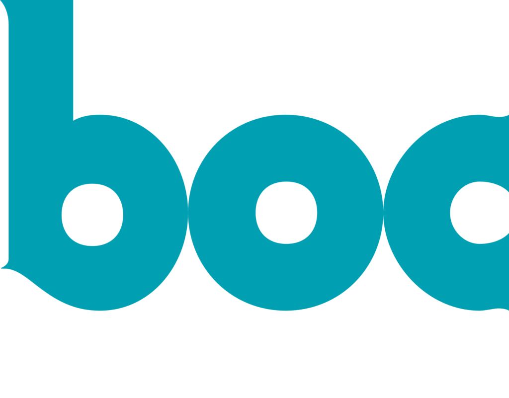 BOC Instruments Logo White Text
